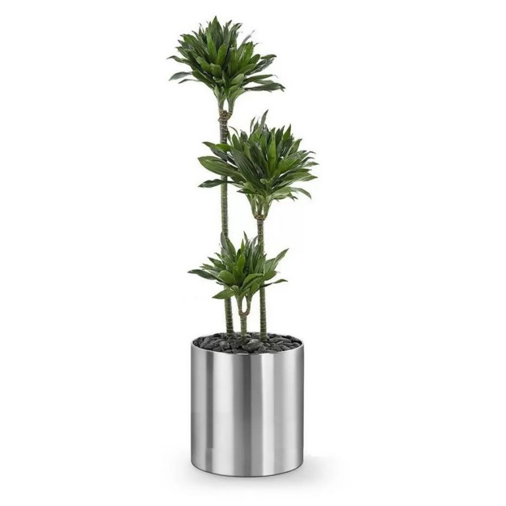 Cachepot Grande