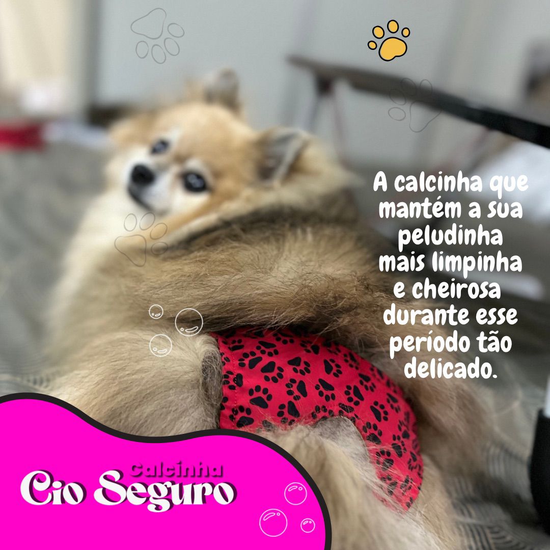 Calcinha Pet Cio Seguro - Tamanho M - Raças Pequenas