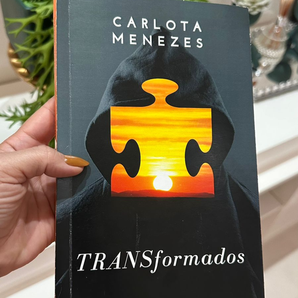 Livro TRANSformados