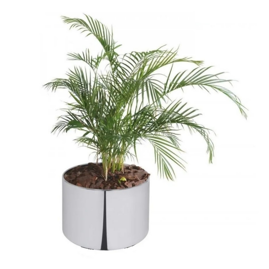Cachepot Grande