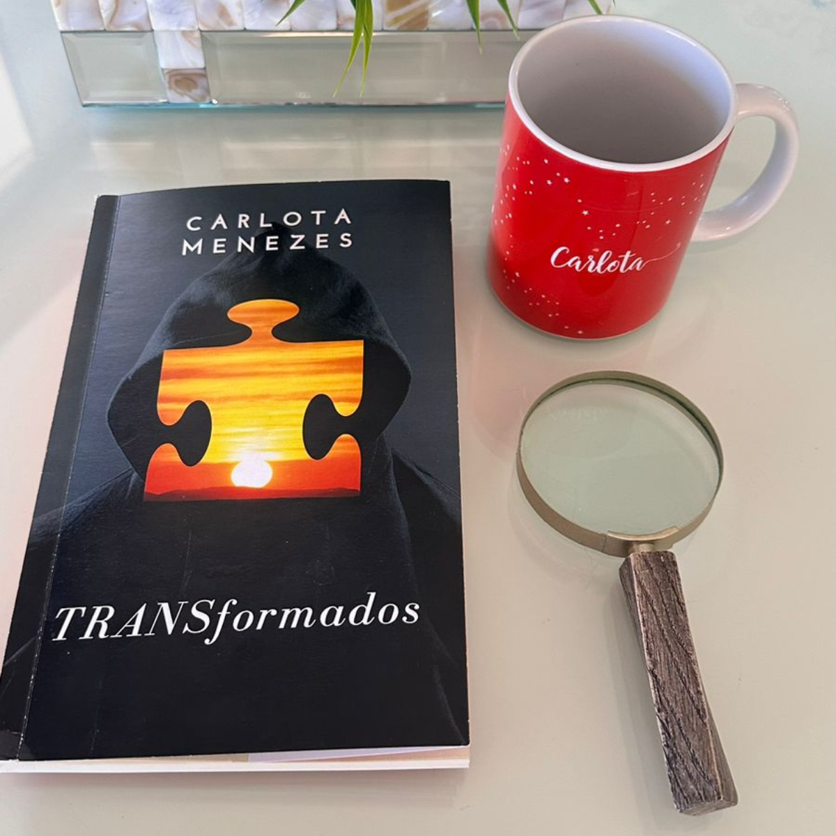 Livro TRANSformados